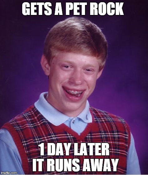 Bad Luck Brian Meme | GETS A PET ROCK 1 DAY LATER IT RUNS AWAY | image tagged in memes,bad luck brian | made w/ Imgflip meme maker