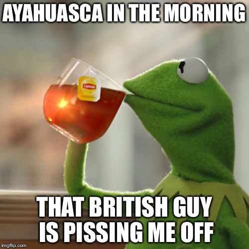 But That's None Of My Business | AYAHUASCA IN THE MORNING THAT BRITISH GUY IS PISSING ME OFF | image tagged in memes,but thats none of my business,kermit the frog | made w/ Imgflip meme maker