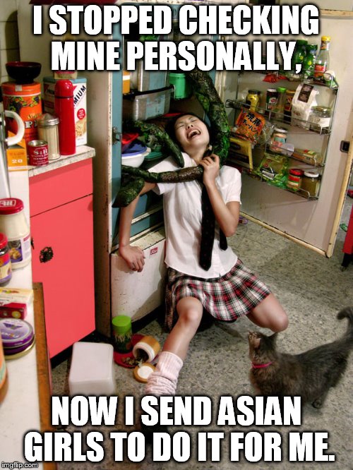 I STOPPED CHECKING MINE PERSONALLY, NOW I SEND ASIAN GIRLS TO DO IT FOR ME. | made w/ Imgflip meme maker