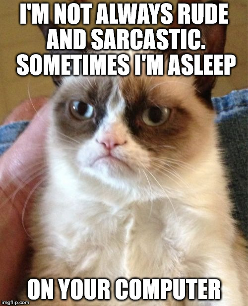 Grumpy Cat | I'M NOT ALWAYS RUDE AND SARCASTIC. SOMETIMES I'M ASLEEP ON YOUR COMPUTER | image tagged in memes,grumpy cat | made w/ Imgflip meme maker