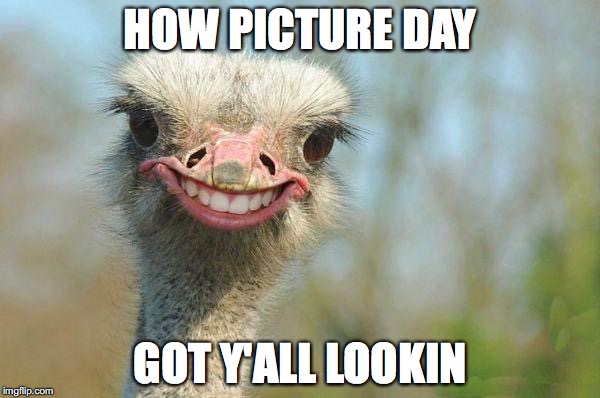 Funny Ostrich | HOW PICTURE DAY GOT Y'ALL LOOKIN | image tagged in funny ostrich | made w/ Imgflip meme maker