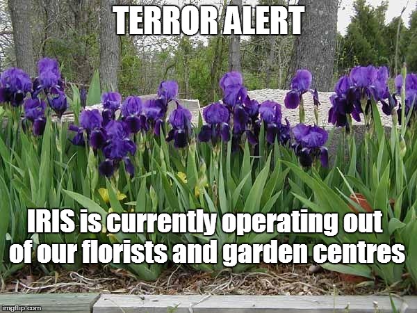 ISS are also in space | TERROR ALERT IRIS is currently operating out of our florists and garden centres | image tagged in flowers | made w/ Imgflip meme maker