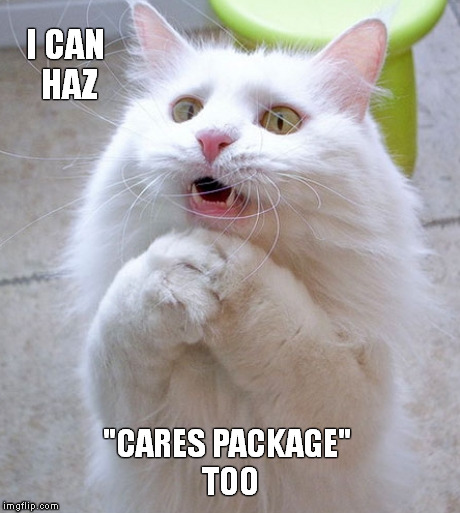 Kitteh Wants "Nip" Too | I CAN HAZ "CARES PACKAGE" TOO | image tagged in memes,funny memes,kitteh,care package,hierbaos de gato,cat weed | made w/ Imgflip meme maker