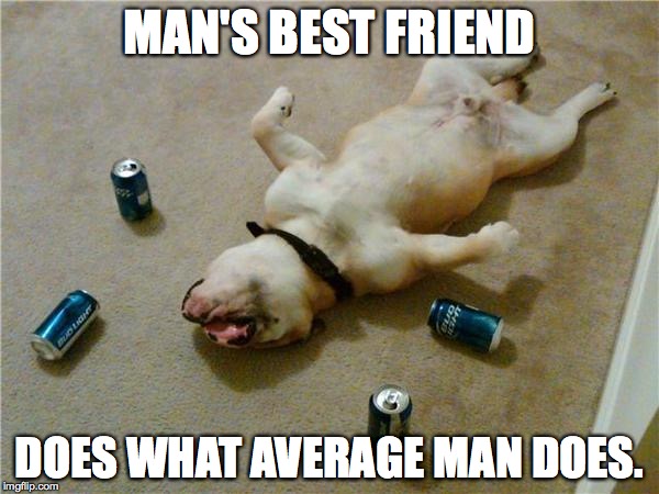 drunk dog | MAN'S BEST FRIEND DOES WHAT AVERAGE MAN DOES. | image tagged in drunk dog | made w/ Imgflip meme maker