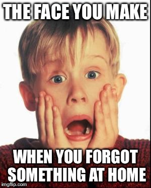 Home Alone Kid  | THE FACE YOU MAKE WHEN YOU FORGOT SOMETHING AT HOME | image tagged in home alone kid  | made w/ Imgflip meme maker