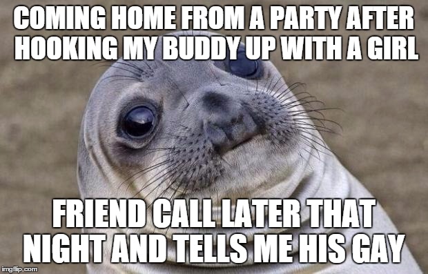 Awkward Moment Sealion | COMING HOME FROM A PARTY AFTER HOOKING MY BUDDY UP WITH A GIRL FRIEND CALL LATER THAT NIGHT AND TELLS ME HIS GAY | image tagged in memes,awkward moment sealion | made w/ Imgflip meme maker