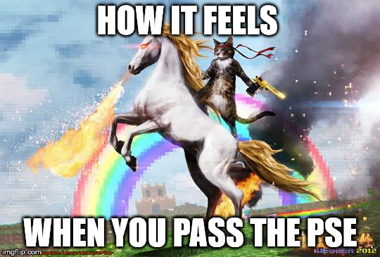 Cat riding unicorn | HOW IT FEELS WHEN YOU PASS THE PSE | image tagged in cat riding unicorn | made w/ Imgflip meme maker