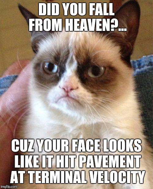 Grumpy Cat | DID YOU FALL FROM HEAVEN?... CUZ YOUR FACE LOOKS LIKE IT HIT PAVEMENT AT TERMINAL VELOCITY | image tagged in memes,grumpy cat | made w/ Imgflip meme maker