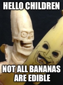 Scary banana | HELLO CHILDREN NOT ALL BANANAS ARE EDIBLE | image tagged in scary banana | made w/ Imgflip meme maker