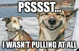 Original Stoner Dog Meme | PSSSST... I WASN'T PULLING AT ALL | image tagged in memes,original stoner dog | made w/ Imgflip meme maker