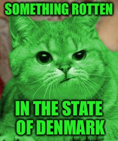 RayCat Annoyed | SOMETHING ROTTEN IN THE STATE OF DENMARK | image tagged in raycat annoyed | made w/ Imgflip meme maker