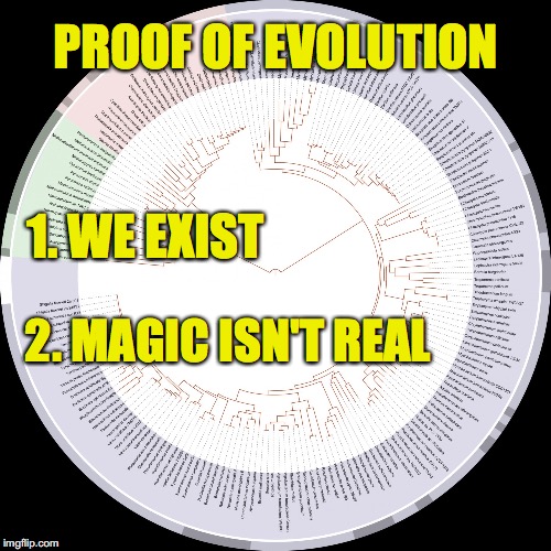 That was easy.. | PROOF OF EVOLUTION 1. WE EXIST 2. MAGIC ISN'T REAL | image tagged in tree of life,evolution | made w/ Imgflip meme maker