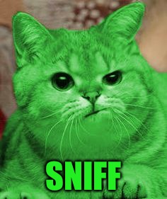 RayCat Annoyed | SNIFF | image tagged in raycat annoyed | made w/ Imgflip meme maker