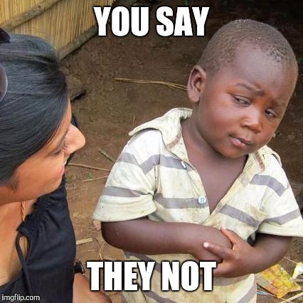 Third World Skeptical Kid Meme | YOU SAY THEY NOT | image tagged in memes,third world skeptical kid | made w/ Imgflip meme maker
