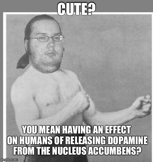 Overly nerdy nerd | CUTE? YOU MEAN HAVING AN EFFECT ON HUMANS OF RELEASING DOPAMINE FROM THE NUCLEUS ACCUMBENS? | image tagged in overly nerdy nerd | made w/ Imgflip meme maker