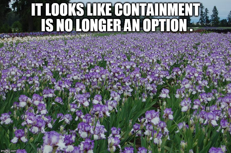 IT LOOKS LIKE CONTAINMENT IS NO LONGER AN OPTION . | made w/ Imgflip meme maker