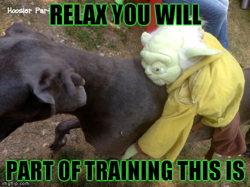 RELAX YOU WILL PART OF TRAINING THIS IS | made w/ Imgflip meme maker