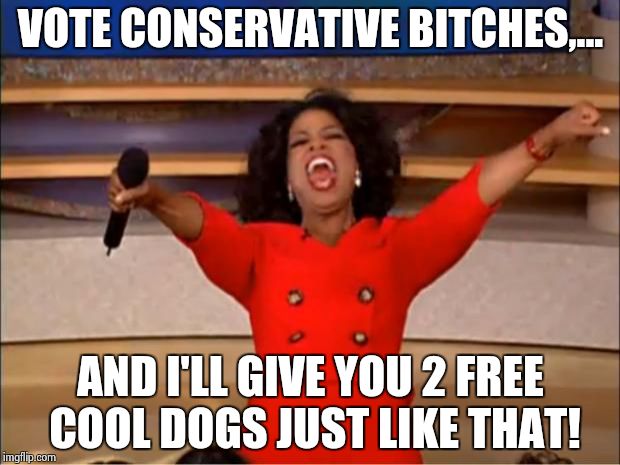 Oprah You Get A Meme | VOTE CONSERVATIVE B**CHES,... AND I'LL GIVE YOU 2 FREE COOL DOGS JUST LIKE THAT! | image tagged in memes,oprah you get a | made w/ Imgflip meme maker