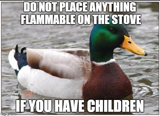 They mix up the oven and burner controls. Then you realize you don't own a fire extinguisher. | DO NOT PLACE ANYTHING FLAMMABLE ON THE STOVE IF YOU HAVE CHILDREN | image tagged in memes,actual advice mallard | made w/ Imgflip meme maker