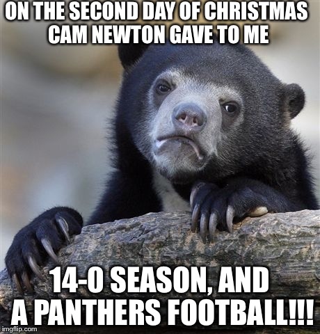 Confession Bear Meme | ON THE SECOND DAY OF CHRISTMAS CAM NEWTON GAVE TO ME 14-0 SEASON, AND A PANTHERS FOOTBALL!!! | image tagged in memes,confession bear | made w/ Imgflip meme maker