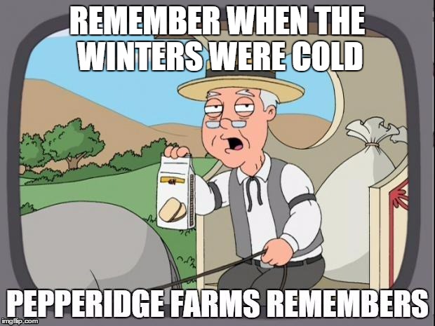 something is just not right | REMEMBER WHEN THE WINTERS WERE COLD | image tagged in pepperidge farms remembers | made w/ Imgflip meme maker