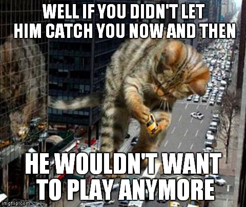 Don't tease the cat | WELL IF YOU DIDN'T LET HIM CATCH YOU NOW AND THEN HE WOULDN'T WANT TO PLAY ANYMORE | image tagged in woah kitty,godzilla | made w/ Imgflip meme maker
