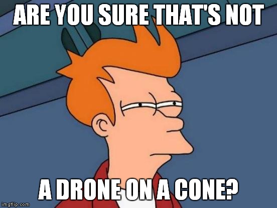 Futurama Fry Meme | ARE YOU SURE THAT'S NOT A DRONE ON A CONE? | image tagged in memes,futurama fry | made w/ Imgflip meme maker
