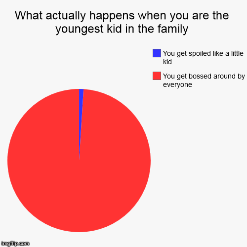 Just in my own experience when I was growing up. | image tagged in funny,pie charts | made w/ Imgflip chart maker