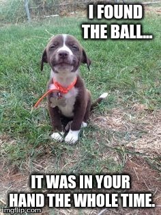 I see what you did there | I FOUND THE BALL... IT WAS IN YOUR HAND THE WHOLE TIME. | image tagged in puppies | made w/ Imgflip meme maker