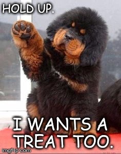 Wait | HOLD UP. I WANTS A TREAT TOO. | image tagged in puppies | made w/ Imgflip meme maker