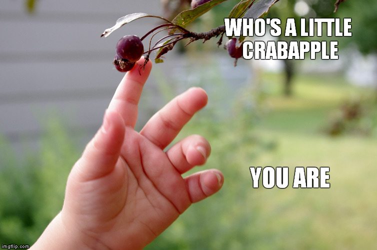 Some people can be a little...sour. | WHO'S A LITTLE CRABAPPLE YOU ARE | image tagged in memes,funny memes,crabapples | made w/ Imgflip meme maker