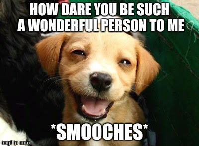 HOW DARE YOU BE SUCH A WONDERFUL PERSON TO ME *SMOOCHES* | image tagged in cute dog,humor,comedy,smile | made w/ Imgflip meme maker