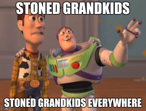 X, X Everywhere Meme | STONED GRANDKIDS STONED GRANDKIDS EVERYWHERE | image tagged in memes,x x everywhere | made w/ Imgflip meme maker