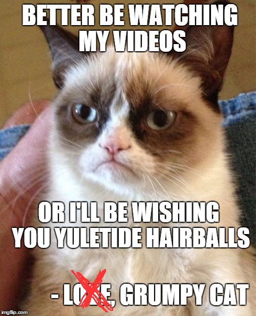 Grumpy Cat Meme | BETTER BE WATCHING MY VIDEOS OR I'LL BE WISHING YOU YULETIDE HAIRBALLS - LOVE, GRUMPY CAT | image tagged in memes,grumpy cat | made w/ Imgflip meme maker