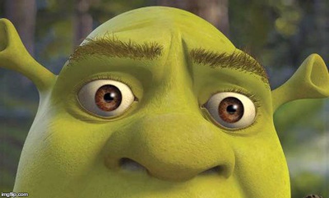 Shrek2 | , | image tagged in shrek2 | made w/ Imgflip meme maker