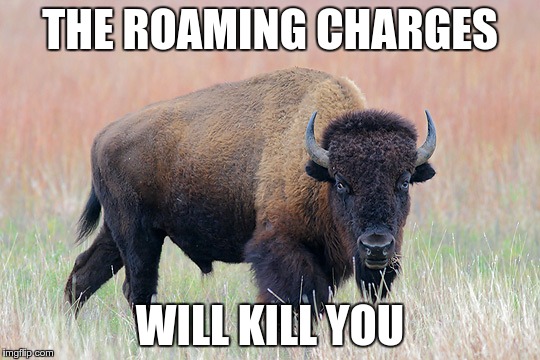 THE ROAMING CHARGES WILL KILL YOU | made w/ Imgflip meme maker