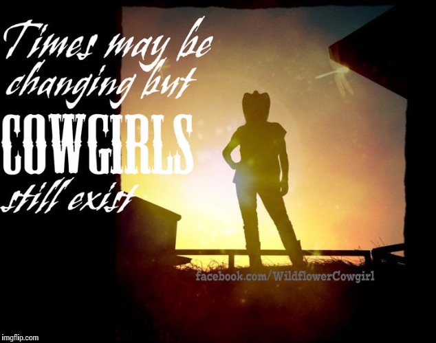 image tagged in cowgirl | made w/ Imgflip meme maker