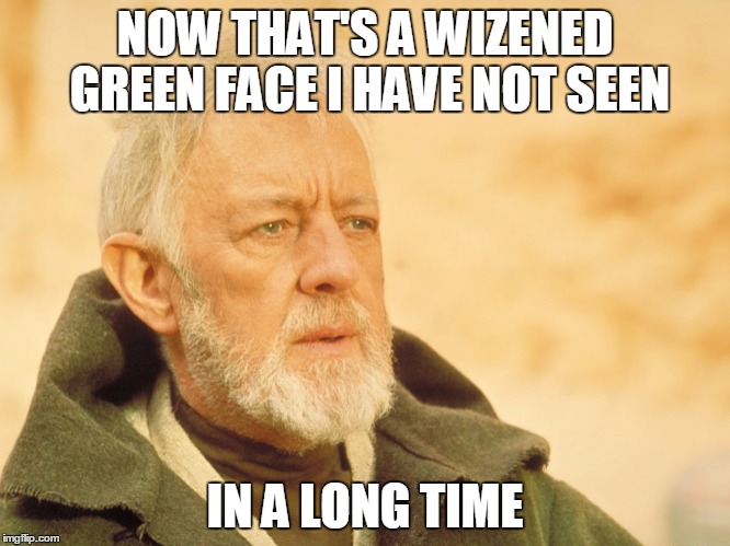 NOW THAT'S A WIZENED GREEN FACE I HAVE NOT SEEN IN A LONG TIME | made w/ Imgflip meme maker