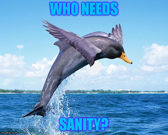 Duckphin | WHO NEEDS SANITY? | image tagged in duckphin | made w/ Imgflip meme maker