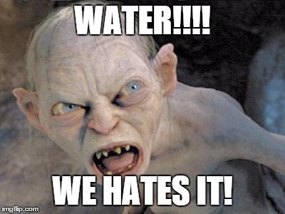 Golum 2795 | WATER!!!! WE HATES IT! | image tagged in golum 2795 | made w/ Imgflip meme maker