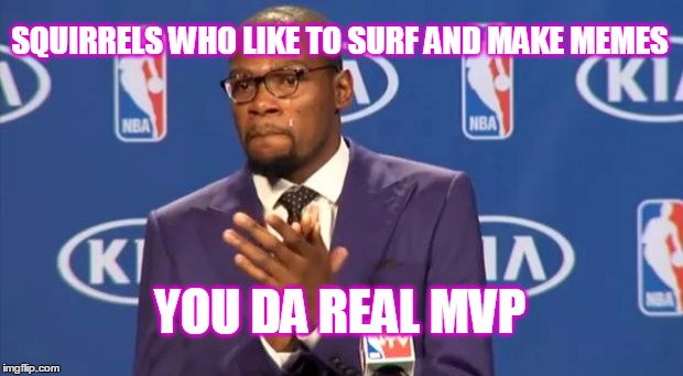 You The Real MVP Meme | SQUIRRELS WHO LIKE TO SURF AND MAKE MEMES YOU DA REAL MVP | image tagged in memes,you the real mvp | made w/ Imgflip meme maker