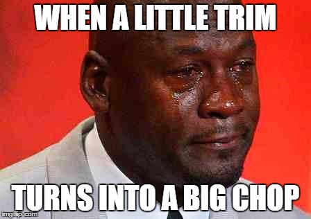 crying michael jordan | WHEN A LITTLE TRIM TURNS INTO A BIG CHOP | image tagged in crying michael jordan | made w/ Imgflip meme maker