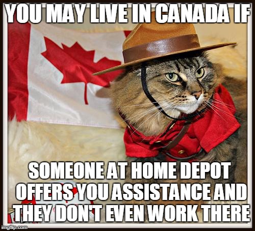 Canada Cat | YOU MAY LIVE IN CANADA IF SOMEONE AT HOME DEPOT OFFERS YOU ASSISTANCE AND THEY DON'T EVEN WORK THERE | image tagged in canada cat | made w/ Imgflip meme maker