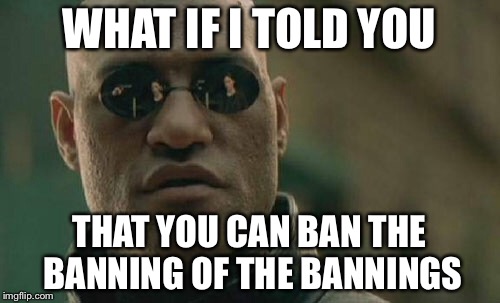 Matrix Morpheus Meme | WHAT IF I TOLD YOU THAT YOU CAN BAN THE BANNING OF THE BANNINGS | image tagged in memes,matrix morpheus | made w/ Imgflip meme maker