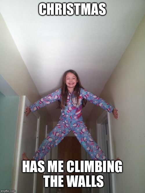 CHRISTMAS HAS ME CLIMBING THE WALLS | image tagged in crissy | made w/ Imgflip meme maker