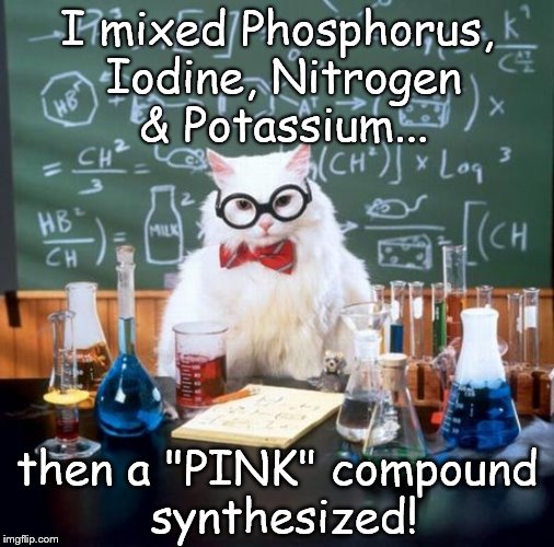 Chemistry Cat | I mixed Phosphorus, Iodine, Nitrogen & Potassium... then a "PINK" compound synthesized! | image tagged in memes,chemistry cat,pink,phosphorus,iodine,nitrogen | made w/ Imgflip meme maker