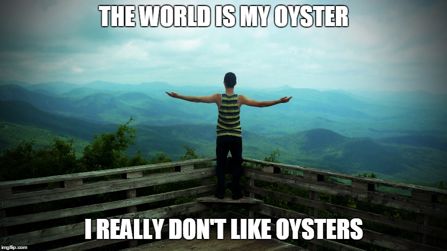 Oyster Meme | THE WORLD IS MY OYSTER I REALLY DON'T LIKE OYSTERS | image tagged in life,philosophy | made w/ Imgflip meme maker