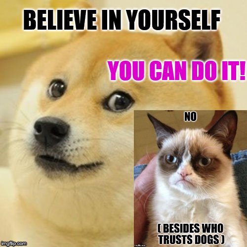 Doge Meme | BELIEVE IN YOURSELF YOU CAN DO IT! | image tagged in memes,doge | made w/ Imgflip meme maker
