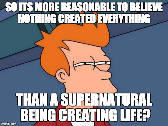 Futurama Fry Meme | SO ITS MORE REASONABLE TO BELIEVE NOTHING CREATED EVERYTHING THAN A SUPERNATURAL BEING CREATING LIFE? | image tagged in memes,futurama fry | made w/ Imgflip meme maker