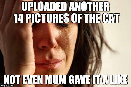 First World Problems | UPLOADED ANOTHER 14 PICTURES OF THE CAT NOT EVEN MUM GAVE IT A LIKE | image tagged in memes,first world problems | made w/ Imgflip meme maker